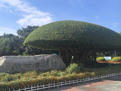 -南宁南湖公园