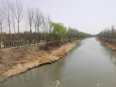 -东郊湿地公园