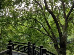 -白马涧龙池景区