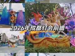 -海合安成都极地海洋公园
