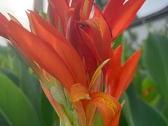 -苏州太湖国际会议中心