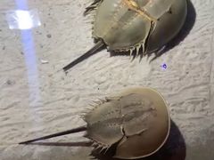 -泉城欧乐堡海洋极地世界