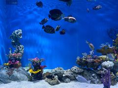 -上海海昌海洋公园