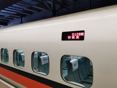 -文府路口(Taiwan High Speed Rail Zuoying Station)