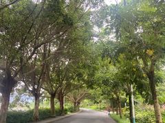 -风云岭森林公园
