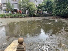 -黄埔古港