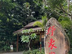 -野象谷景区