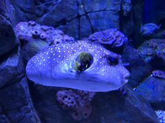 -成都浩海立方海洋公园