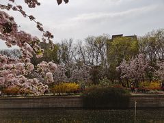 -元大都城垣遗址公园