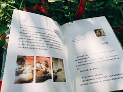-重庆平顶山公园