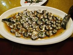 -呼吸森林·生态农庄农家乐私房菜