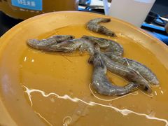 -汤响自助回转火锅百汇(乐峰广场店)