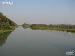 -大湾区中央湿地公园