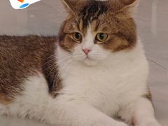 -平行世界·猫咖(首经贸店)
