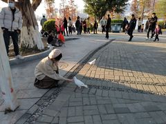 -飞来湖湿地公园