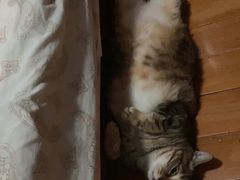 -拜鲁耶动物诊疗中心·宠家动物医院