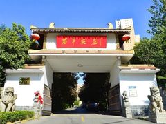 -石羊农庄