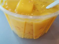 -陈记甜品窝(中山北路店)