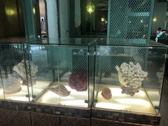 -春润大地海南椰子鸡(沙井京基百纳广场店)