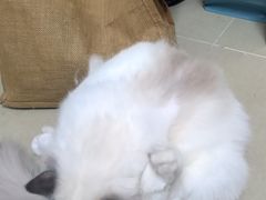 -泉州海丝野生动物世界