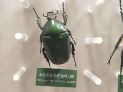 -国家自然博物馆