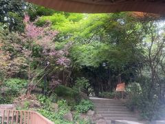 -东明山森林公园