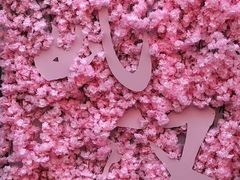 -殷姐糯米包油条