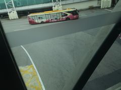 -广州白云国际机场-T2航站楼