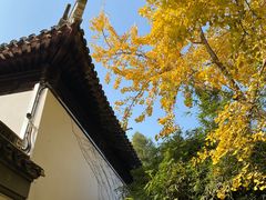 -西园戒幢律寺