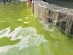 -花水湾第一村温泉大酒店