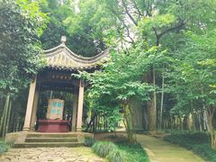 -兰亭风景区