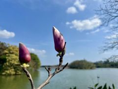 -海珠湖公园