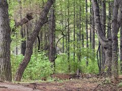 -长春市南湖公园