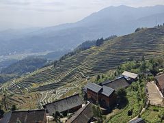 -紫鹊界梯田景区