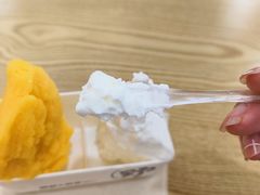 -野人先生Gelato(上海长宁龙之梦店)