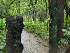 -桂林古东瀑布景区