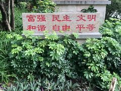 -晓港公园