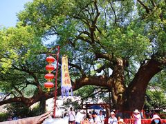 -新安江山水画廊风景区