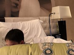 -国家会议中心大酒店