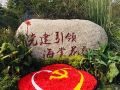 -昆山城市生态森林公园