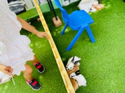 -萌宠亲子动物乐园(槐房万达店)