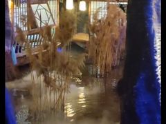 -淀里船宴(卓达店)