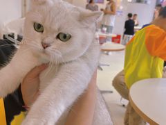 -怪兽屋·羊驼·猫咖·狗咖(俊华广场店)