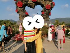 -亚龙湾国际玫瑰谷