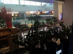 -尚尚仙·酸汤猪手·猪肚鸡火锅(华联万柳购物中心店)