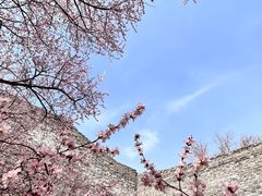 -北京明城墙遗址公园