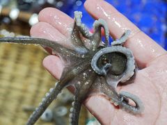 -高佳庄·舟山海鲜(海景旗舰店)