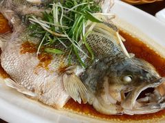 -今一靓汤.顺德菜东莞三十年老字号(厚街店)