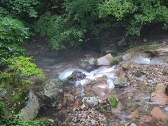 -本溪汤沟绿石谷森林公园