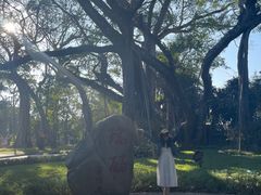 -瑞丽独树成林风景区